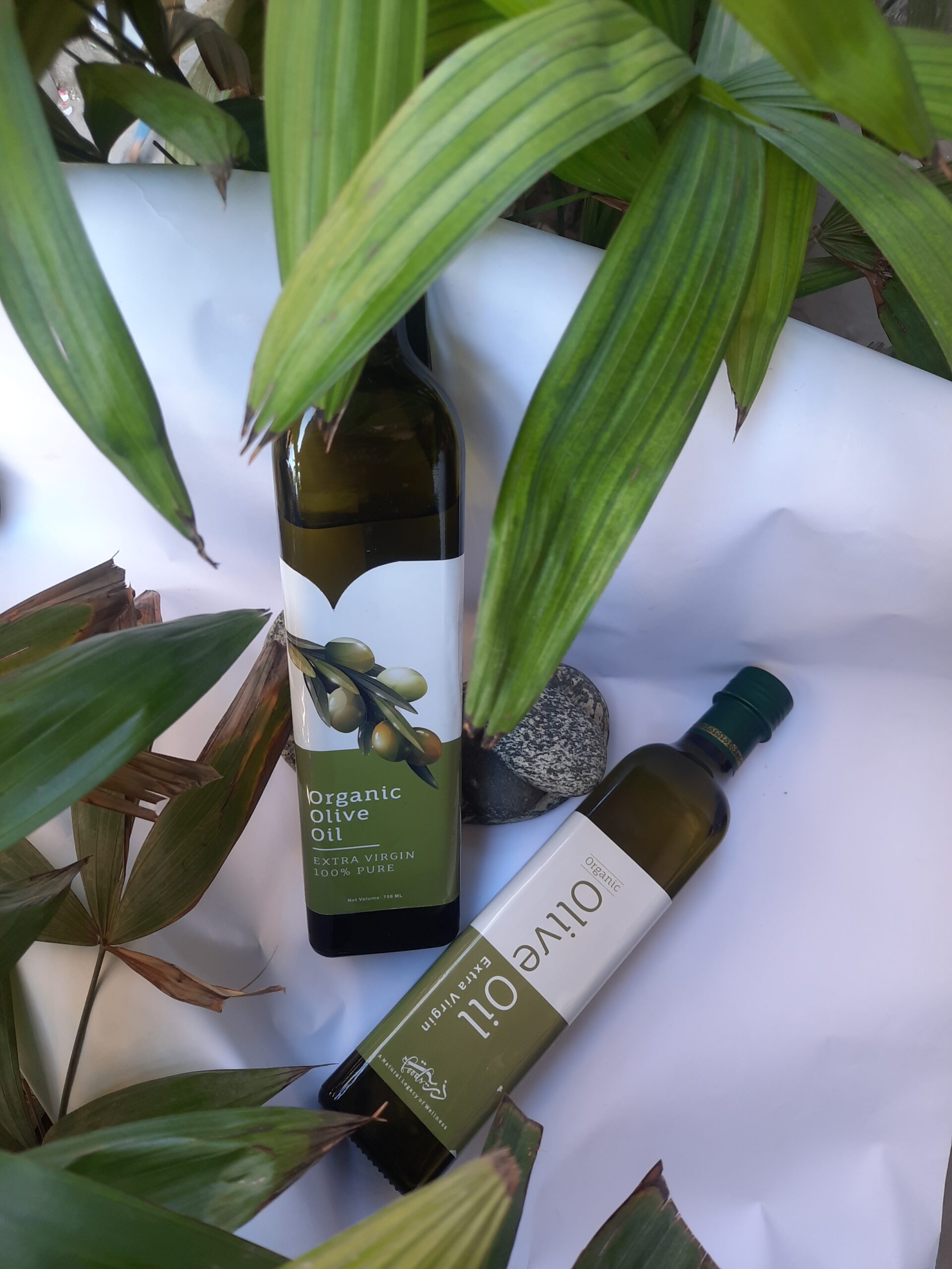 Two bottles of extra virgin olive oil on a white cloth among green leaves