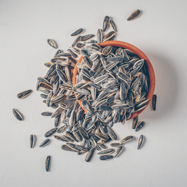 SUNFLOWER SEEDS - Image 2