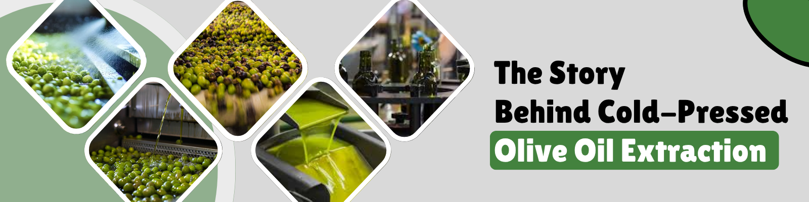 olive oil extraction process